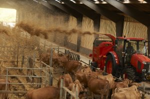 KUBOTA Désileuses pailleuses